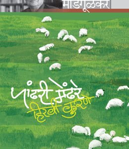 पांढरी मेंढरे हिरवी कुरणे