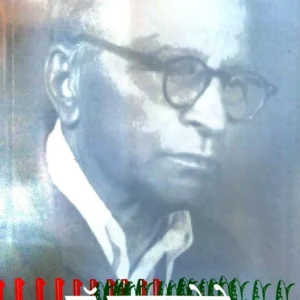 खानखोजे (नाही चिरा…)
