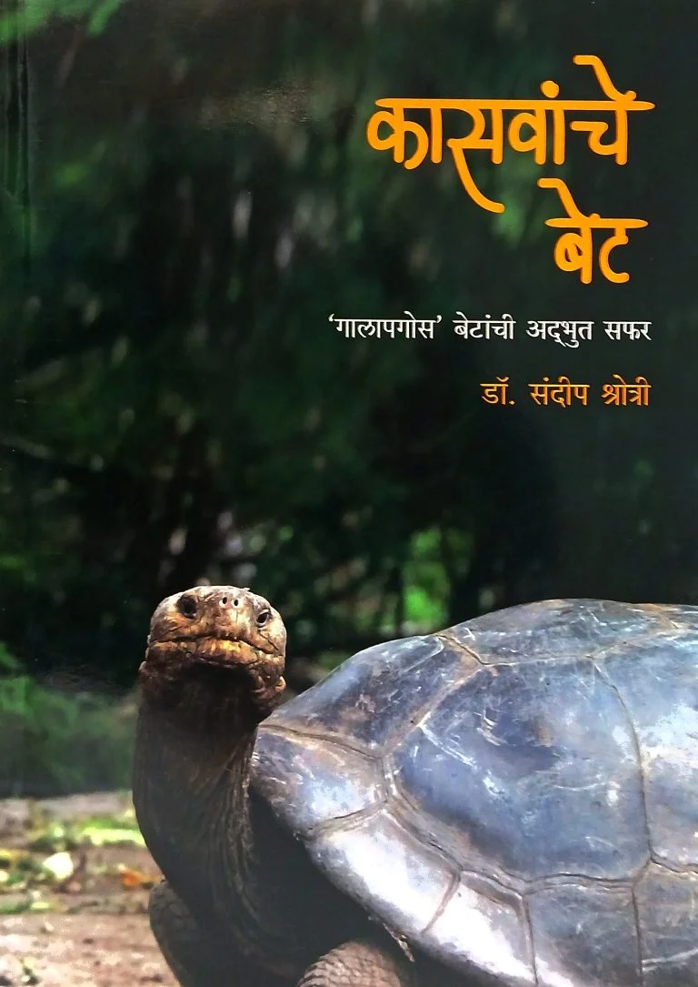 कासवांचे बेट