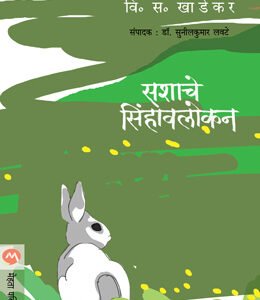 सशाचे सिंहावलोकन